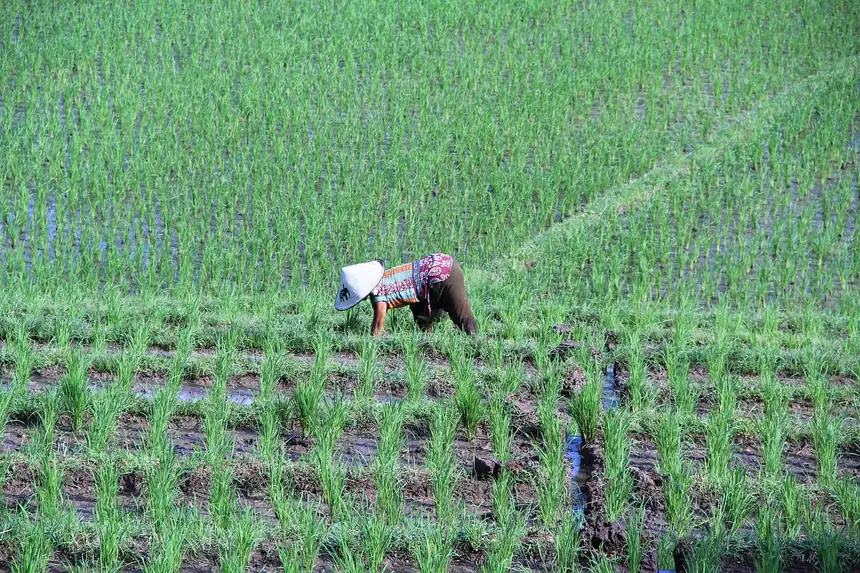 Bali, Indonesia