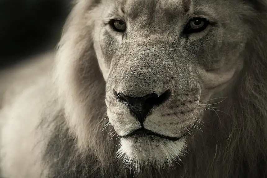 Kruger National Park, South Africa