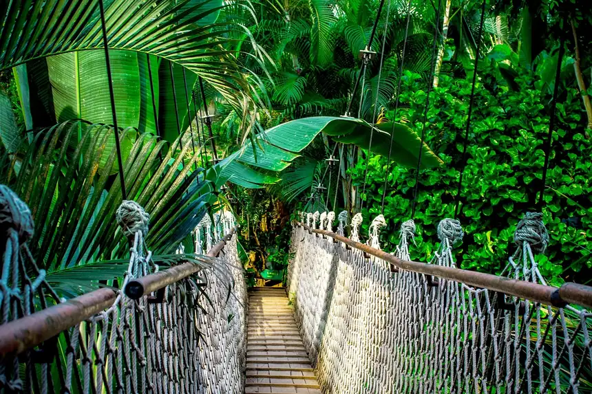 Manaus, Brazil
