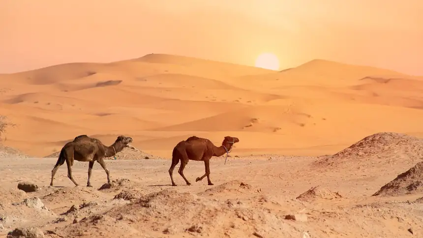 Merzouga, Morocco