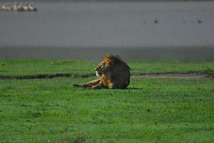Ngorongoro Crater, Tanzania